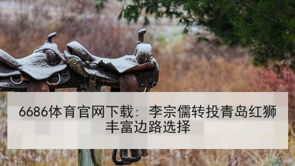 6686体育官网下载: 李宗儒转投青岛红狮丰富边路选择
