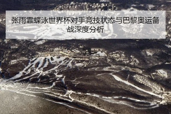 zhang-yu-fei-die-yong-shi-jie-bei-dui-shou-jing-ji-zhuang-tai-yu-ba-li-ao-yun-bei-zhan-shen-du-fen-xi-3-194.jpg
