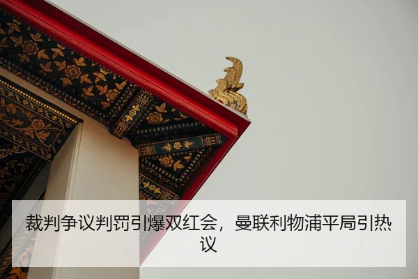 cai-pan-zheng-yi-pan-fa-yin-bao-shuang-hong-hui-man-lian-li-wu-pu-ping-ju-yin-re-yi-3-647.jpg
